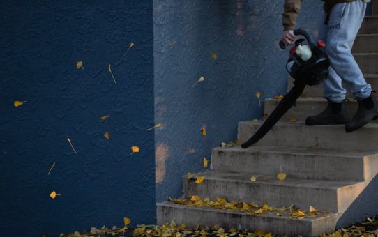 Czym odznacza się dmuchawa do liści?